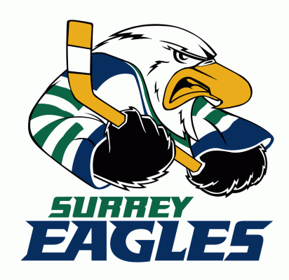 Surrey Eagles 2003-2010 Primary Logo iron on transfers for clothing